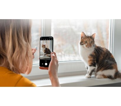 Зображення 5 Карта пам`яті Samsung Evo Plus microSDXC 512GB UHS-I/U3 Class 10  + SD-адаптер - MB-MC512SA/EU