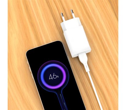 Изображение 4 Зарядное устройство SkyDolphin SC36V (1USB, 2.4A) White + кабель microUSB — SDMZP-000118