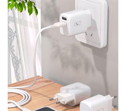 Изображение 2 Зарядное устройство SkyDolphin SC22EBL (2USB, 2.1A) White + кабель Lightning — MZP-000162