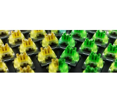 Зображення 5 Клавіатура Razer BlackWidow V4 X USB-A Black (RZ03-04700800-R3R1)