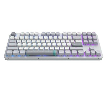 Зображення 2 Клавіатура Dark Project ALU87 Daylight White/Grey (DPKB_DAYLIGHT_87_ANSI_UA)
