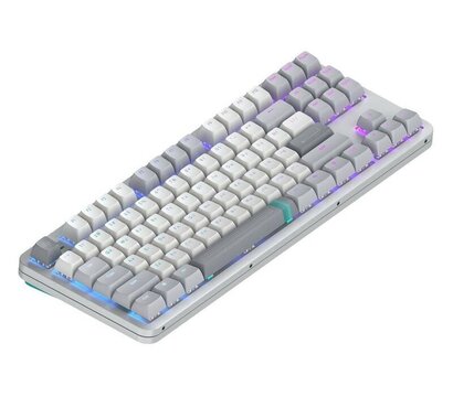Зображення 4 Клавіатура Dark Project ALU87 Daylight White/Grey (DPKB_DAYLIGHT_87_ANSI_UA)
