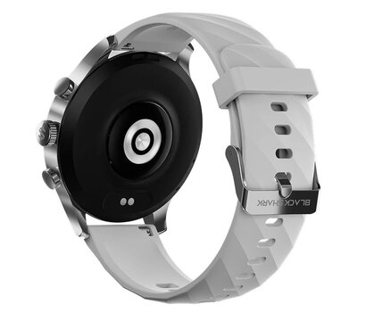 Изображение 2 Смарт-часы Black Shark S3 Classic BS-W2410 Silver есть