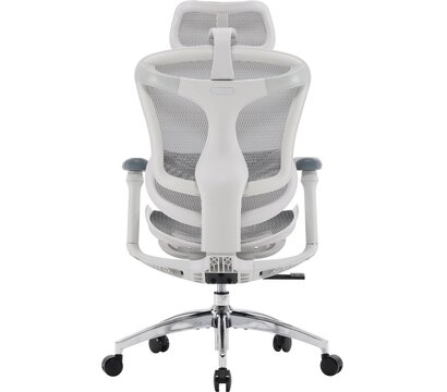 Изображение 2 Кресло Sihoo Doro C300L Mesh White DORO-C300L-A3-102)
