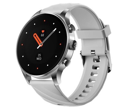 Изображение 3 Смарт-часы Black Shark S3 Classic BS-W2410 Silver есть
