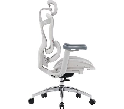 Изображение 3 Кресло Sihoo Doro C300L Mesh White DORO-C300L-A3-102)