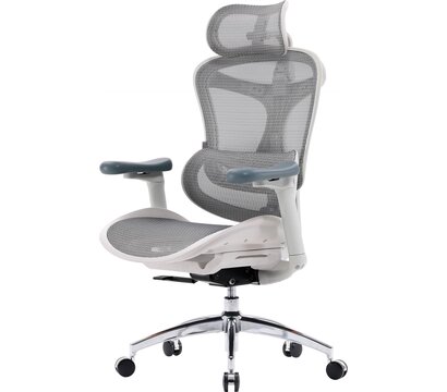 Изображение 4 Кресло Sihoo Doro C300L Mesh White DORO-C300L-A3-102)