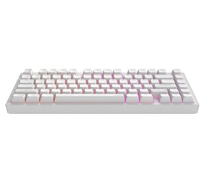 Зображення 2 Клавіатура Dark Project ALU81 Terra Nostra White (DPKB_NOSTRA_81_ANSI_WHITE_UA)