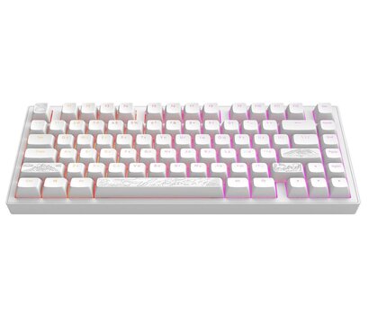 Зображення 3 Клавіатура Dark Project ALU81 Terra Nostra White (DPKB_NOSTRA_81_ANSI_WHITE_UA)