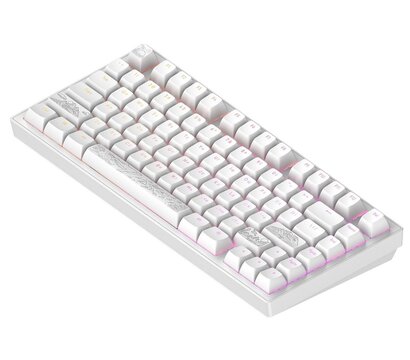 Зображення 5 Клавіатура Dark Project ALU81 Terra Nostra White (DPKB_NOSTRA_81_ANSI_WHITE_UA)