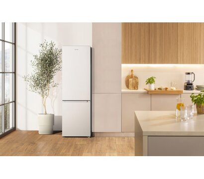 Изображение 4 Холодильник Gorenje RK418DPW4I