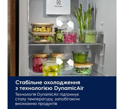 Изображение 2 Холодильник Electrolux ERD6DE18S4