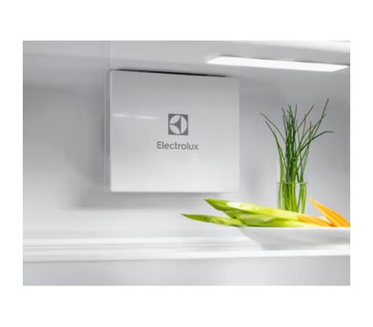 Изображение 5 Холодильник Electrolux ERD6DE18S4