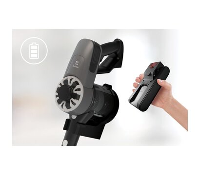 Изображение 3 Пылесос Electrolux EP31CB21TG