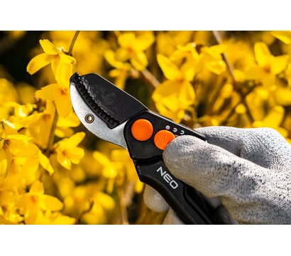 Зображення 3 Секатор Neo Tools 15-201