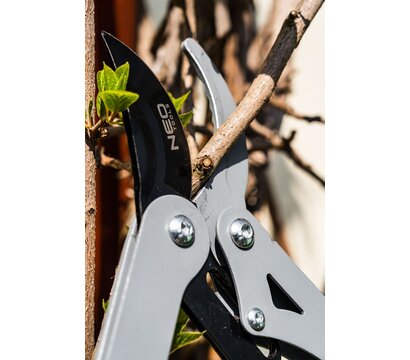 Изображение 4 Сучкорез Neo Tools 15-250