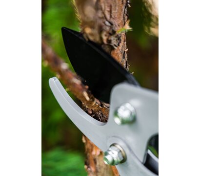 Изображение 5 Секатор Neo Tools 15-251