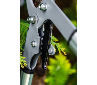 Изображение 6 Секатор Neo Tools 15-251