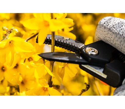 Зображення 6 Секатор Neo Tools 15-201