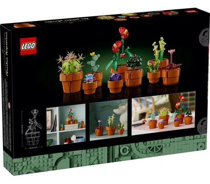Зображення 2 Конструктор Lego Icons Botanicals Маленькие цветы (10329)