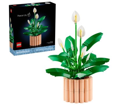 Зображення 2 Конструктор Lego Botanicals Спатифиллум (11504)