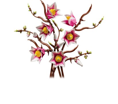 Изображение 2 Конструктор Lego Botanicals Ветви магнолии (115100
