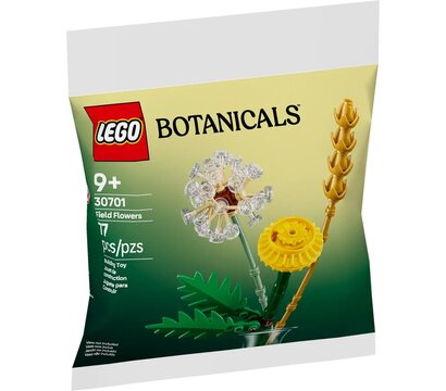 Зображення 2 Конструктор Lego Botanicals Полевые цветы (30701)