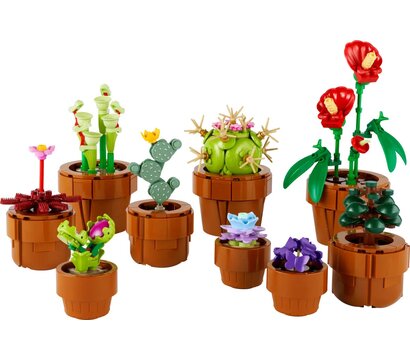 Зображення 3 Конструктор Lego Icons Botanicals Маленькие цветы (10329)