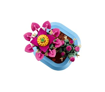 Зображення 3 Конструктор Lego Botanicals Цветение кактуса (11509)