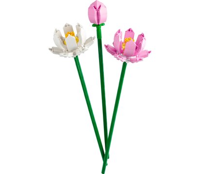 Зображення 3 Конструктор Lego Iconic Botanicals Цветы лотоса (40647)