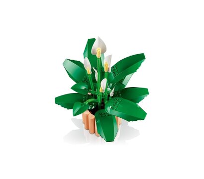 Зображення 4 Конструктор Lego Botanicals Спатифиллум (11504)