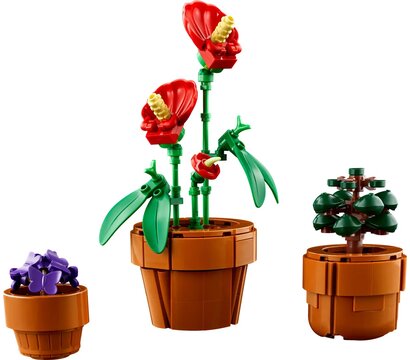 Зображення 6 Конструктор Lego Icons Botanicals Маленькие цветы (10329)