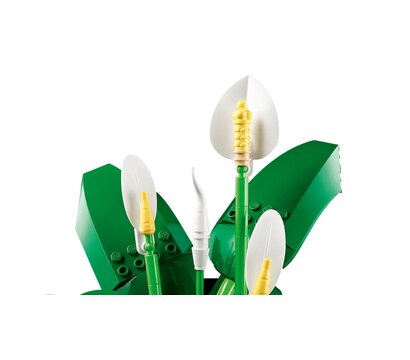 Зображення 6 Конструктор Lego Botanicals Спатифиллум (11504)