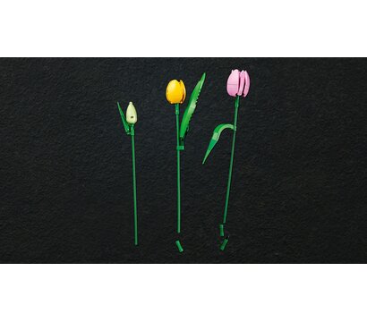Зображення 6 Конструктор Lego Botanicals Букет тюльпанов (11501)
