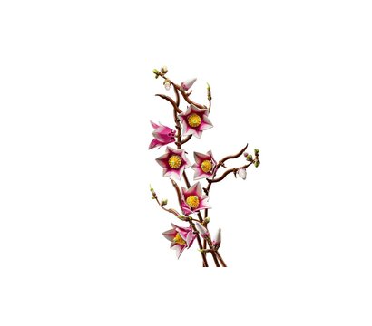 Изображение 6 Конструктор Lego Botanicals Ветви магнолии (115100