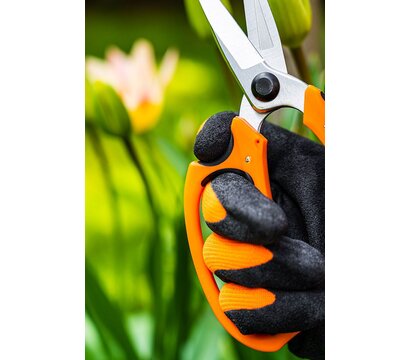 Зображення 5 ножницы садовые Neo Tools 15-215