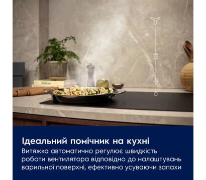Изображение 6 Вытяжка Electrolux LFG716R
