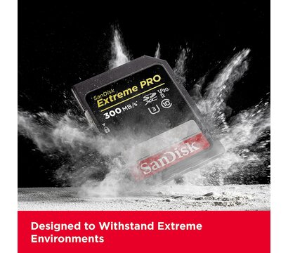Изображение 2 Карта памяти SanDisk SDXC Extreme Pro UHS-I Class 10 U3 V30 256GB (SDSDXDM-256G-GN4IN)