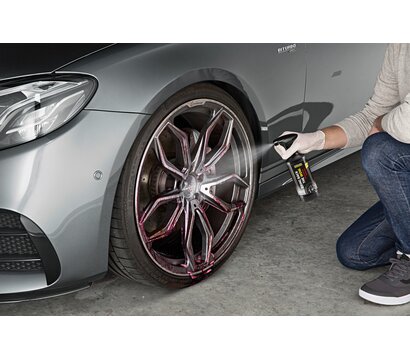 Зображення 4 Автохімія Karcher RM 667 + RM 618 (6.296-167.0)