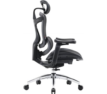 Зображення 3 Крісло Sihoo Doro C300L Mesh Black (DORO-C300L-A3-101)