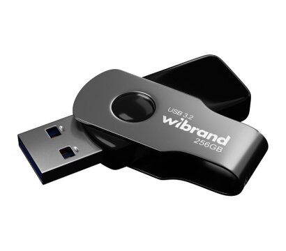 Изображение 2 Накопитель USB Wibrand Lizard 256GB USB 3.2 Black (WI3.2/LI256P9B)