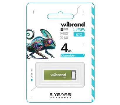 Изображение 2 USB флеш накопитель Wibrand Chameleon 4GB USB 2.0 Green (WI2.0/CH4U6LG)