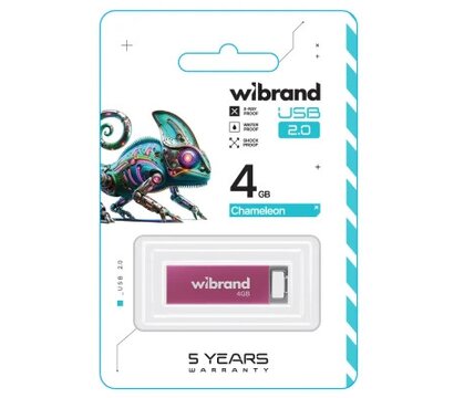 Зображення 2 USB флеш накопичувач Wibrand Chameleon 4GB USB 2.0 Pink (WI2.0/CH4U6P)