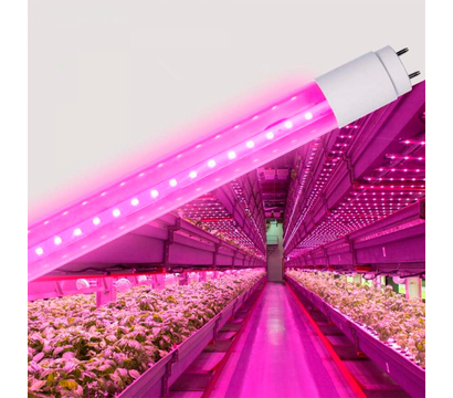 Зображення 4 LED лампочка Videx T8F  9W 0.6M (VL-T8F-0906B) на
