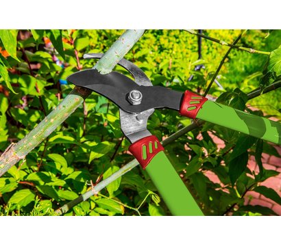Зображення 2 Сучкоріз Verto 15G252