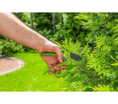 Изображение 5 Секатор Verto 15G205