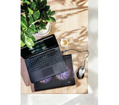 Зображення 12 Trust Azul Laptop Cooling Stand With Dual Fans — 20104
