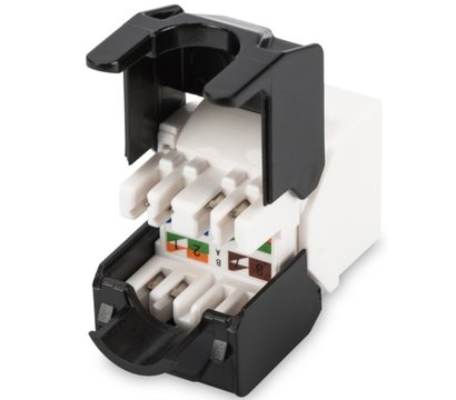 Изображение 2 Модуль розетки Digitus DN-93603 (1 шт.) без крышки