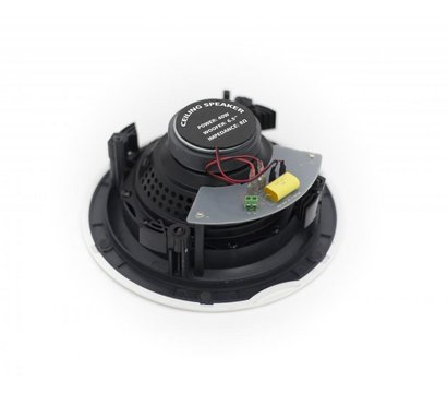 Изображение 3 Громкоговоритель Sky Sound FLC-066 ACTIVE+BT внутренний