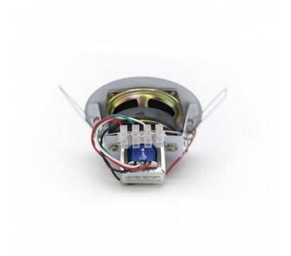 Изображение 2 Громкоговоритель потолочный Sky Sound TS-1010TW